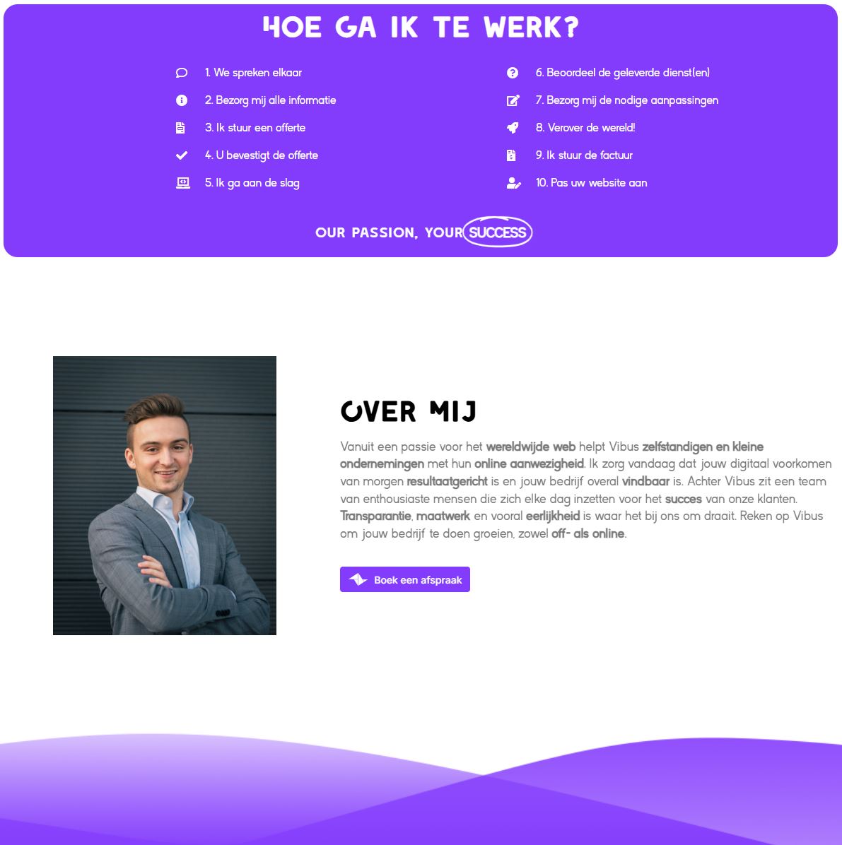 Vibus, webdesign